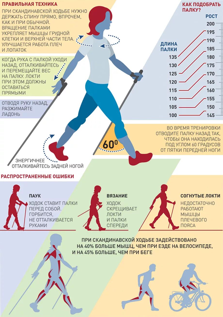 Методика скандинавской ходьбы с палками для начинающих. Правильная техника ходьбы со скандинавскими палками. Техника скандинавской ходьбы для начинающих. Скандинавская ходьба с палками техника ходьбы для начинающих. Силовая ходьба что это