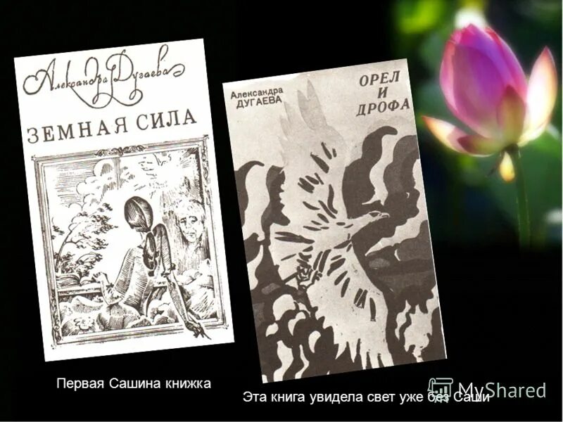 Книга увидела свет