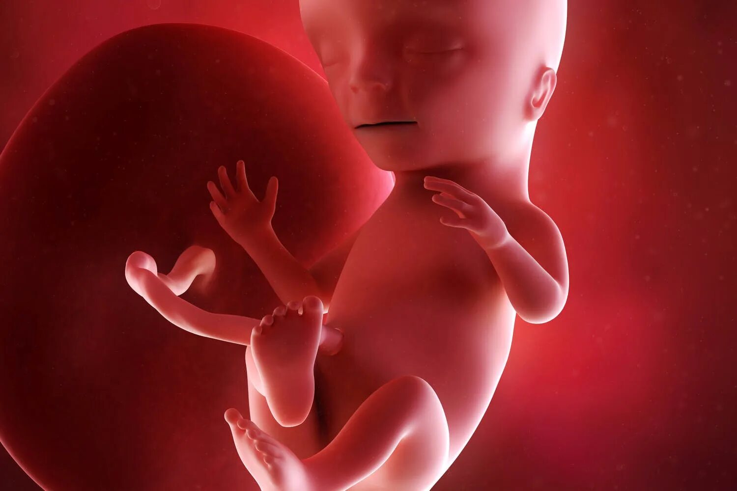 Abortion - Is the Bible Pro-choice or Pro-life? Choose Adoption