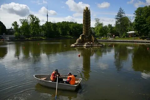 Колос вднх москва
