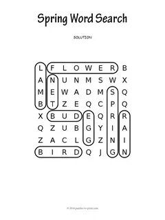 Search ответы