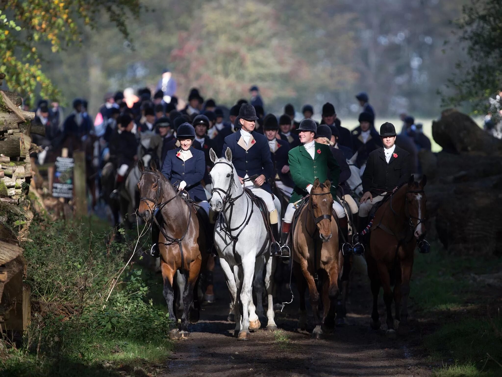 Fox hunting. Фокс Хантинг. Fox Hunting in Britain. History of Fox Hunting. Cape Fox Hunting.