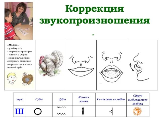 Артикуляционная схема звука ш. Постановка звука с дошкольниками. Коррекция звукопроизношения у дошкольников. Постановка звуков в логопедии. Этапы звука произношения