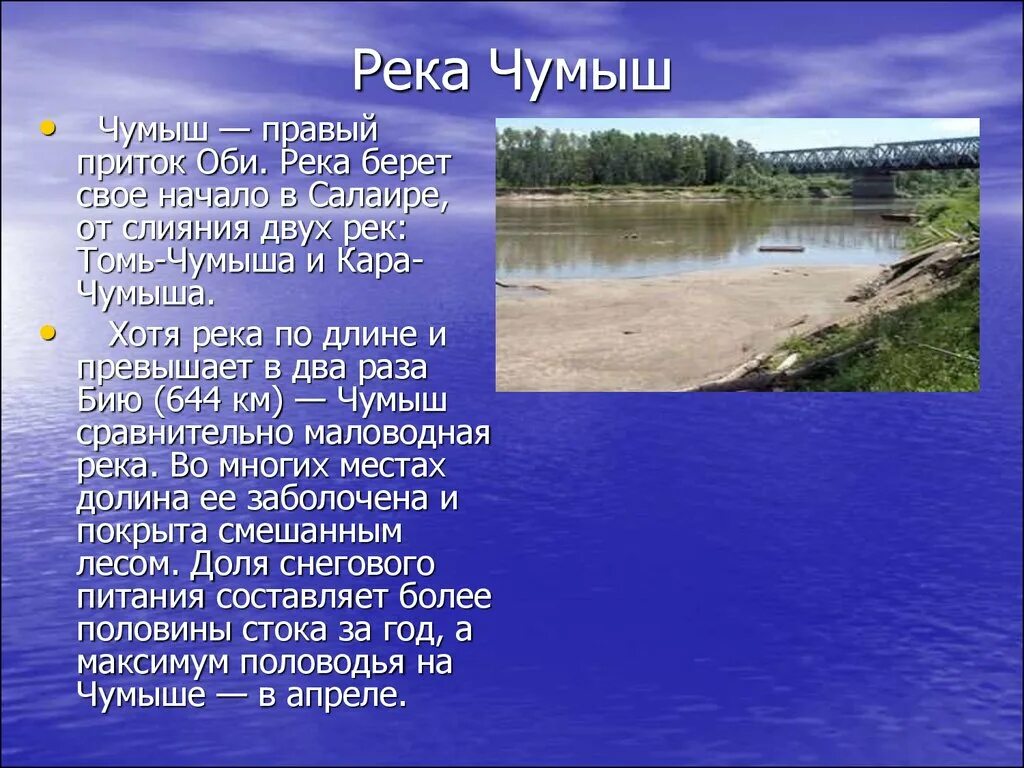 О каком либо водном объекте твоего региона. Реки и озера Алтайского края. Исток реки Чумыш Алтайский край. Приток река Чумыш в Алтайском крае. Река Чумыш Алтайский край информация.