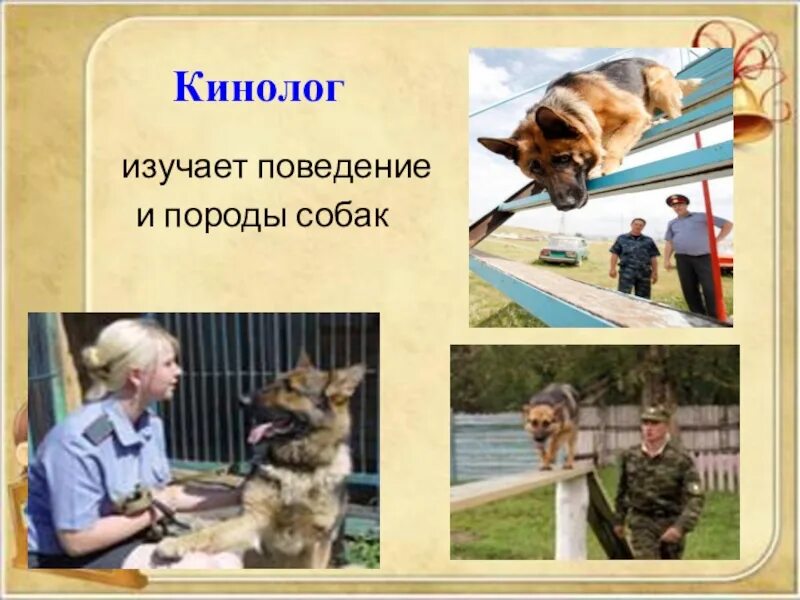 Какая профессия кинолога. Профессия кинолог. Презентация на тему профессия кинолог. Кинология изучение собак. Профессия кинолог презентация для дошкольников.