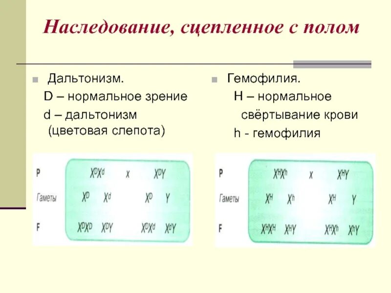 Группа крови и дальтонизм