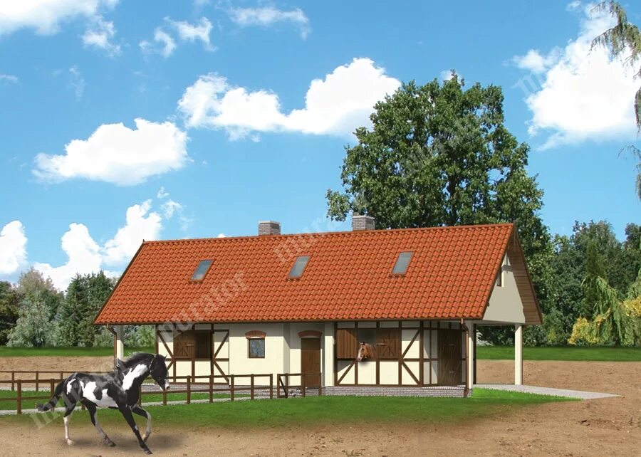 тренер из конюшни. конюшня в колтушах. конюшня для лошадей проект. кск конкорд денники. кск звездный денники.