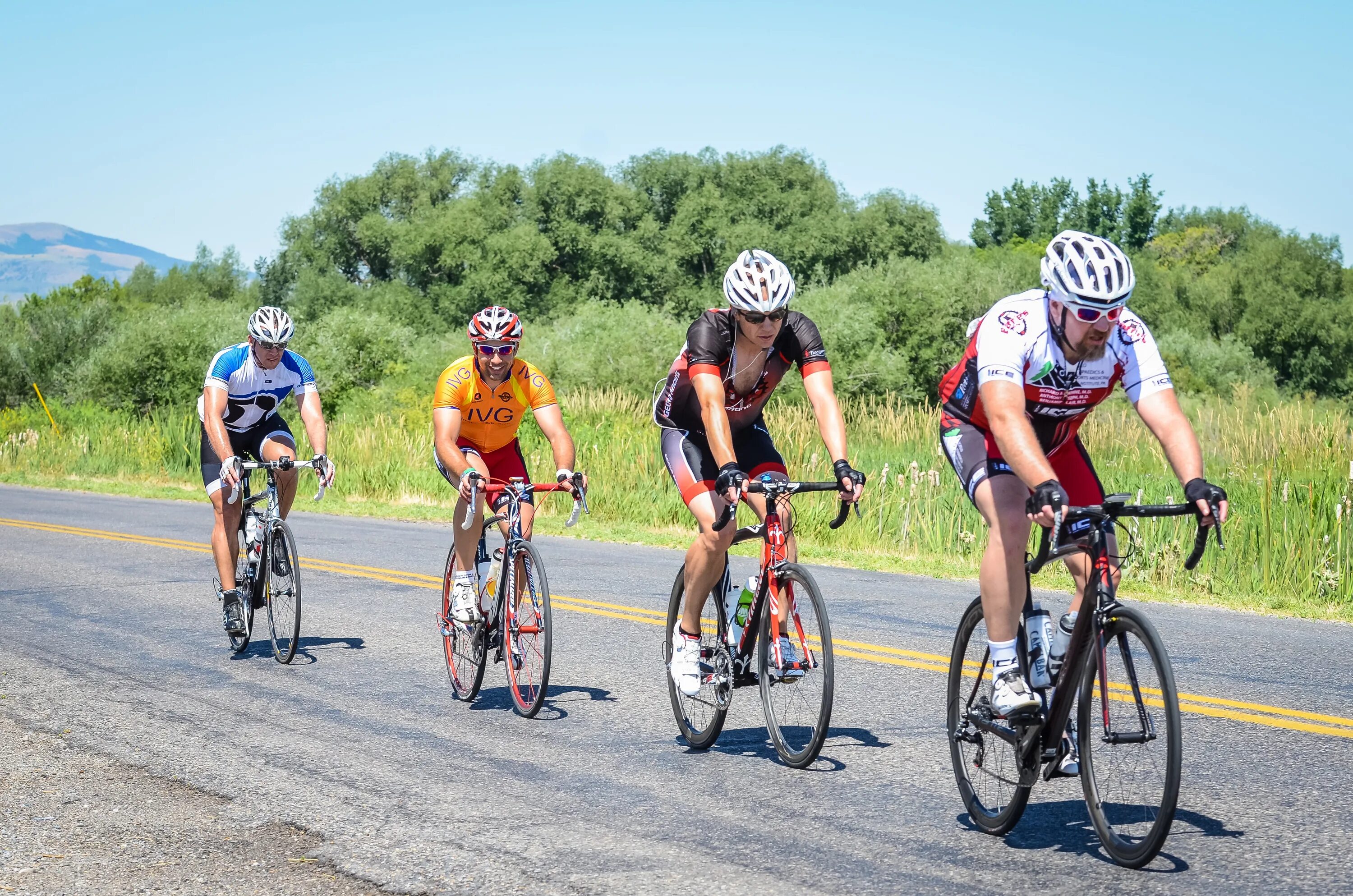 Cycling animals. Велосипедный спорт. Велосипедные гонки. Езда на велосипеде. Велосипедист спорт.