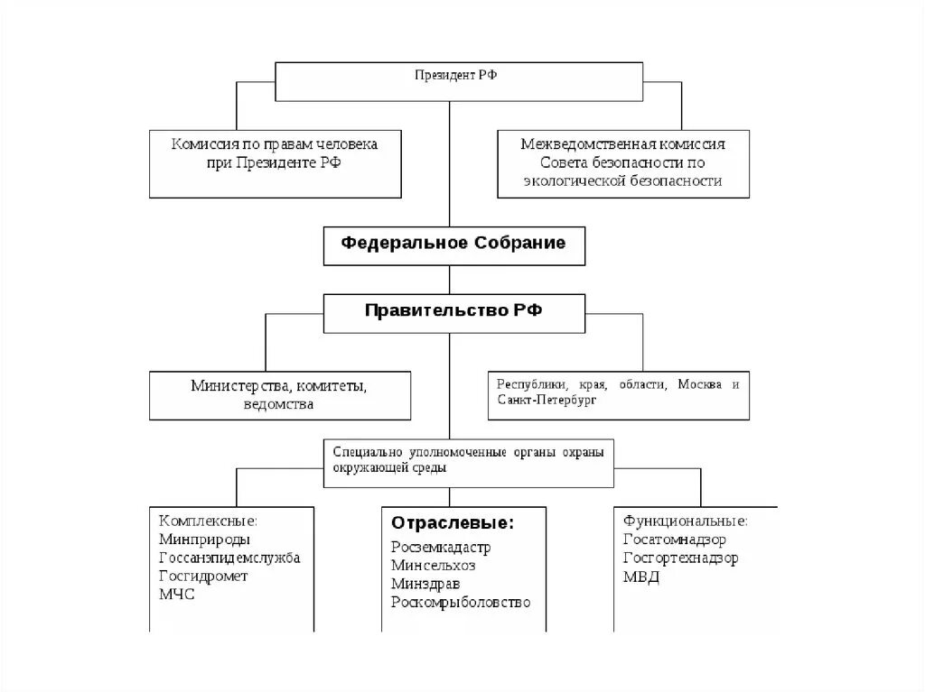 Структура управления природопользованием в схема. Структура управления природопользованием в РФ. Схема государственное управление природопользованием. Органы гос управления в сфере природопользования. Государственные органы управления природопользования