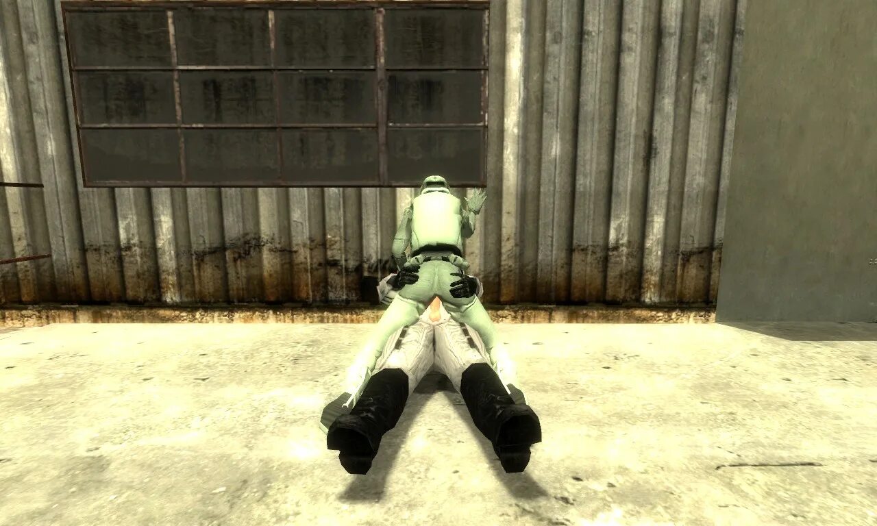34 half life 2. Half life 2 комбайн ассасин. hl2 combine assassin. half life 2 комбайн ассасин r34. half life 2 комбайн female.