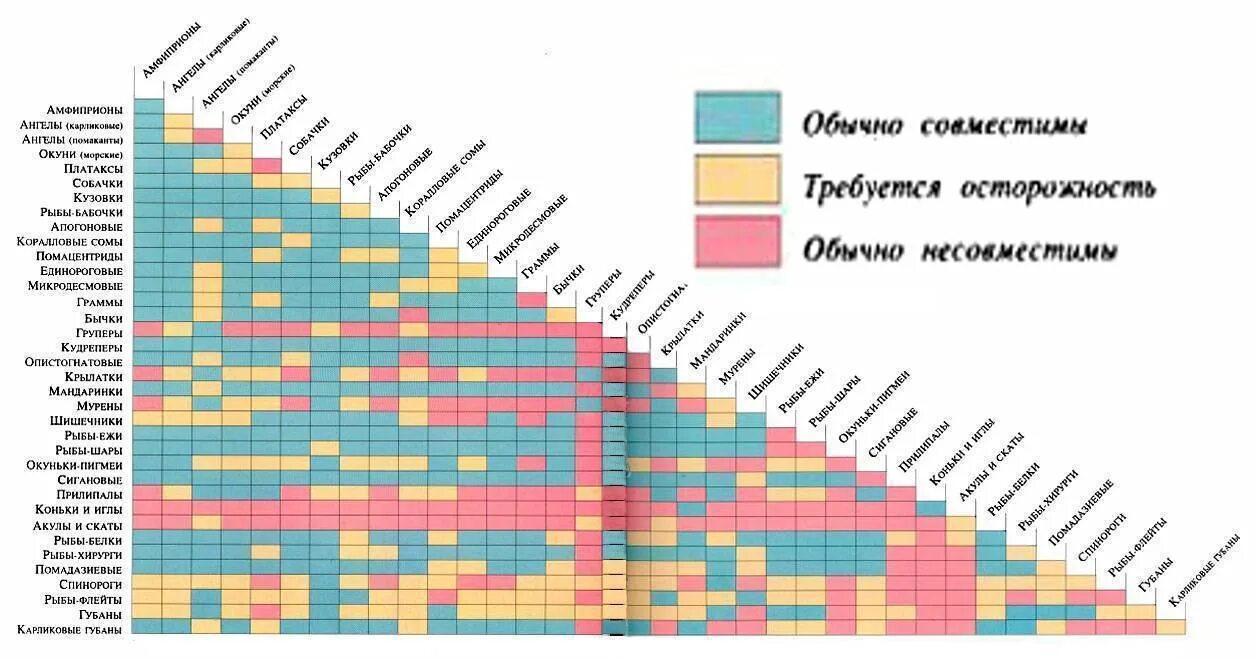 Совмещение аквариумных рыбок таблица. Таблица совместимости аквариумных рыб. Совместимость аквариумных рыбок в одном аквариуме таблица. Креветки аквариумные совместимость с рыбками. Петухи рыбы совместимость