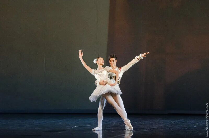 лебединое озеро балет грищенко. и. фрагмент балета щелкунчик. гедиминас таранда балет. щелкунчик балет григоровича.