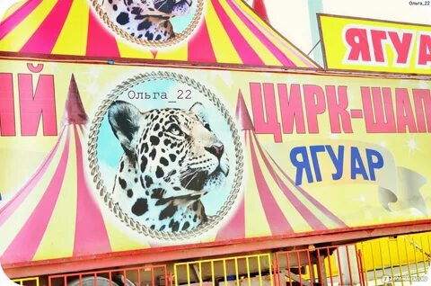 Цирк калуга