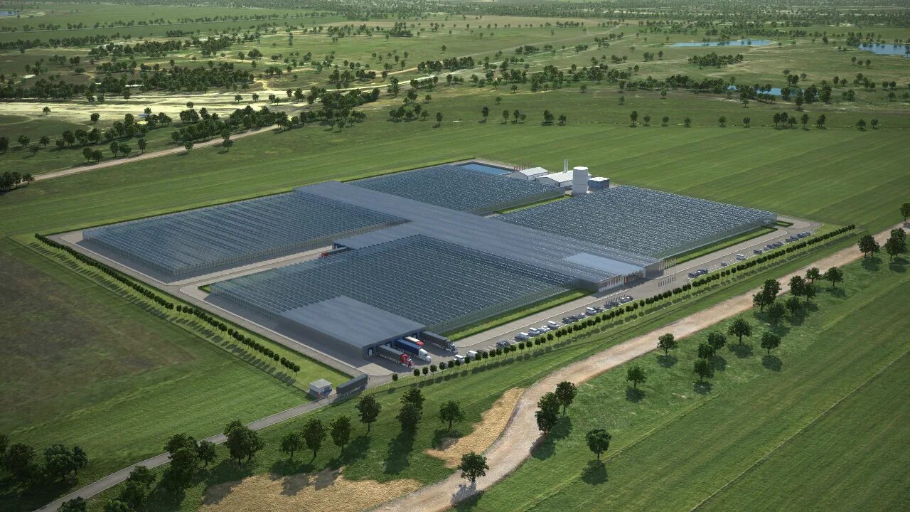 тепличный комплекс агропарк. тепличный комплекс макаровых. тепличный комплекс макаровых. тепличный комплекс белогорья (зеленая грядка). кашира тепличный комплекс.