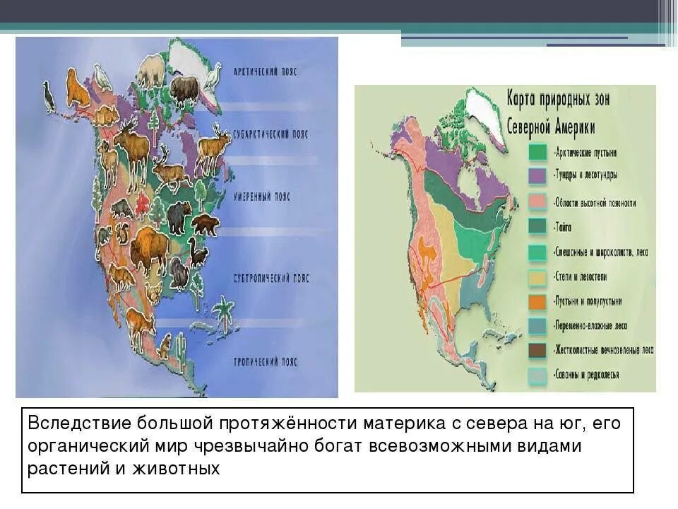 Природные зоны и население северной америки