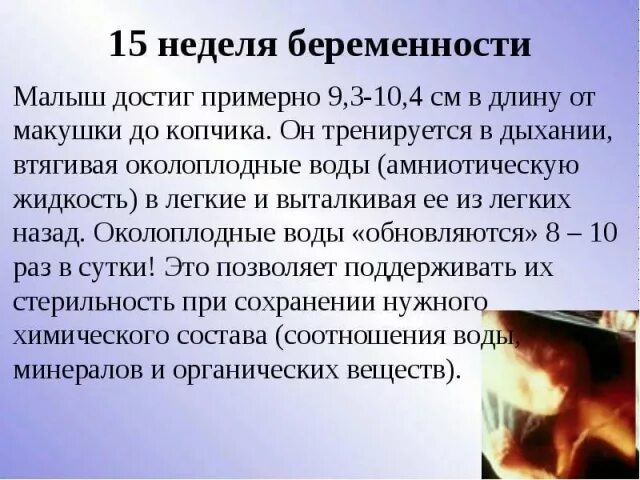 15 неделя даты. Беременность 15 эмбриональных недель. Ощущения при беременности 15 недель. Токсикоз на 15 неделе беременности. Опасности беременности на 15 неделе.