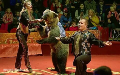 Цирк кудзинова