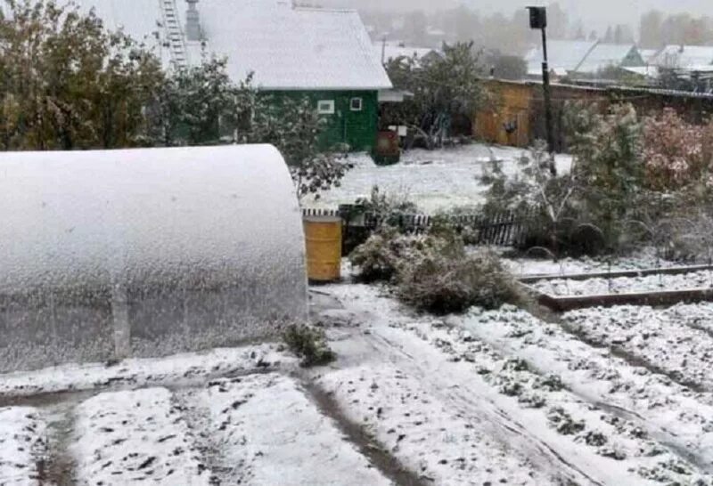 Правда будет снег. На даче выпал снег-. Снег в Ивделе. Кировская Ростовская область выпал снег. Ивдель снегопад.