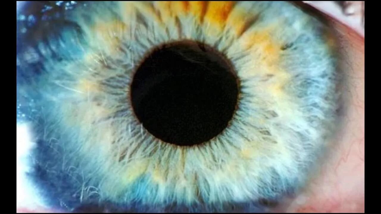 Радужка глаза. Радужная оболочка. Красивые Радужки глаз. Радужка глаза под микроскопом.