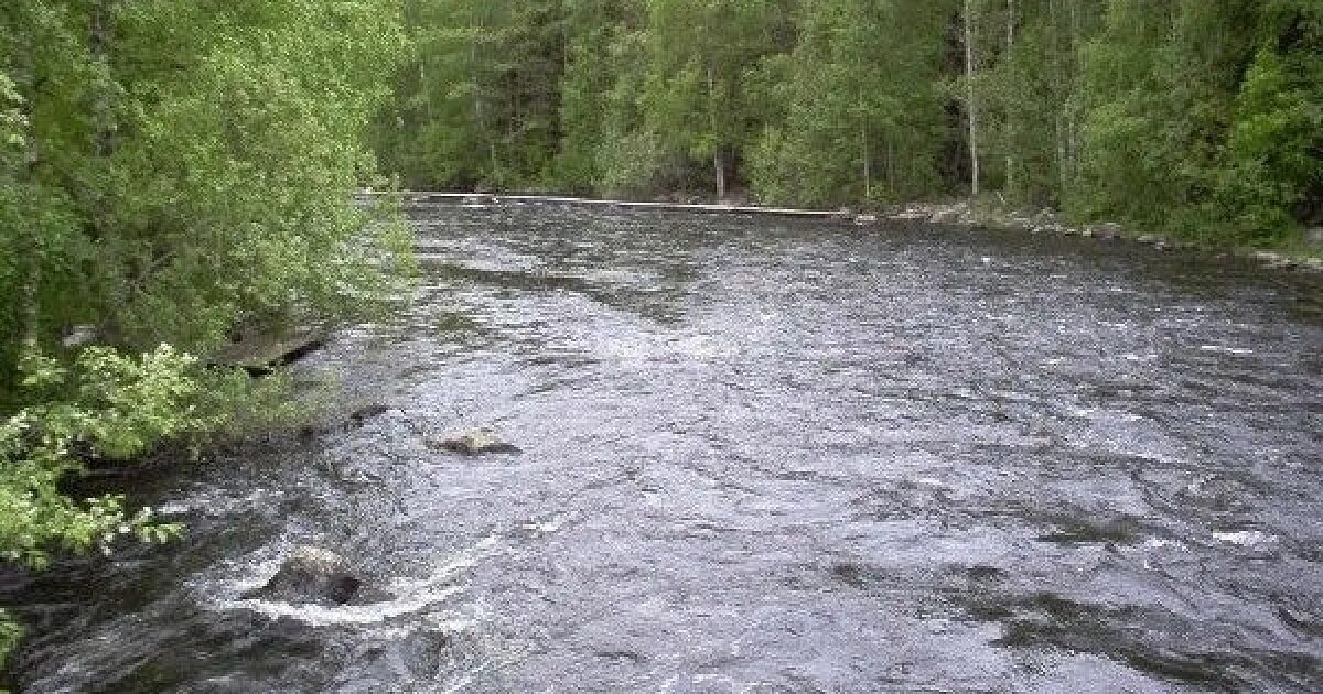 Сильное течение реки. Сильное течение. Бурлящая река. В течении реки. Бурное течение реки.