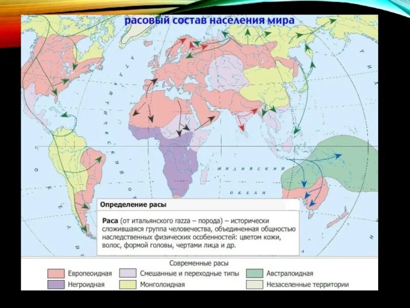 Ареалы распространения человеческих рас. Карта человеческих рас. Карта расселения рас. Расселение рас человека.