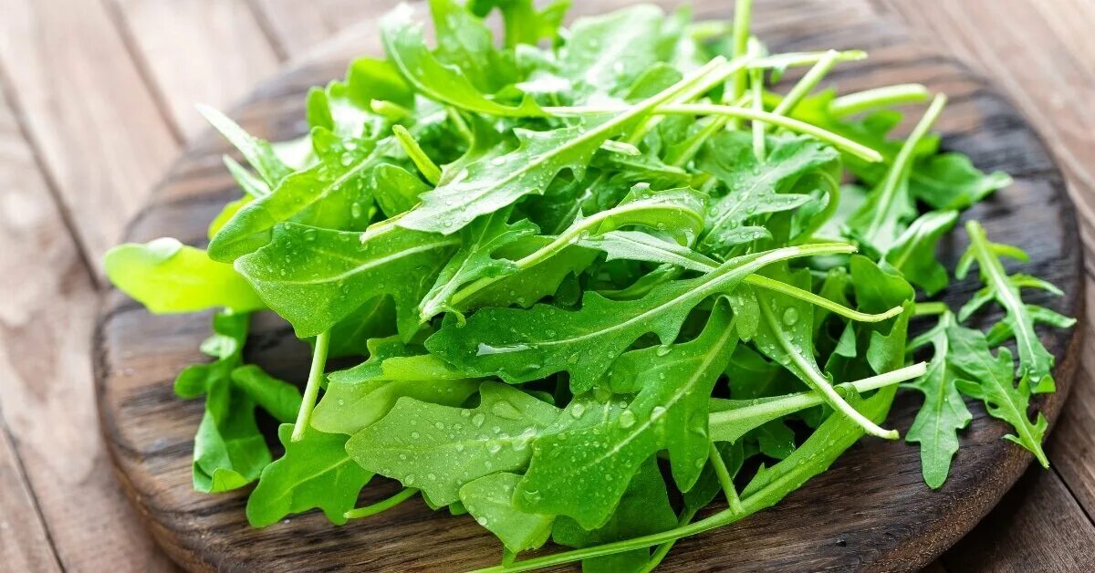Rocket/arugula growing & harvesting tips Growing vegetables, Fall plants, Growin