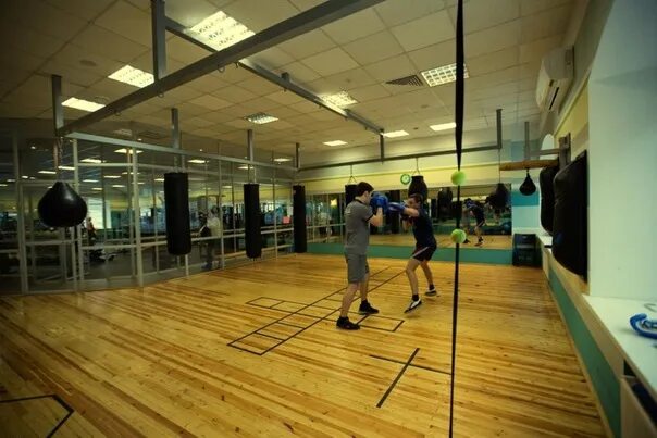 Тарин руслан бокс череповец. Прайд луховицы. Бородинская 3 череповец. Прайд череповец. Pride, череповец.