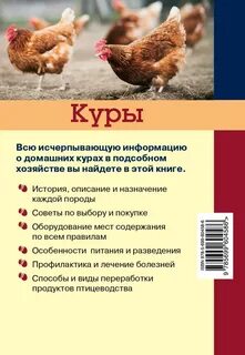 Куры книги