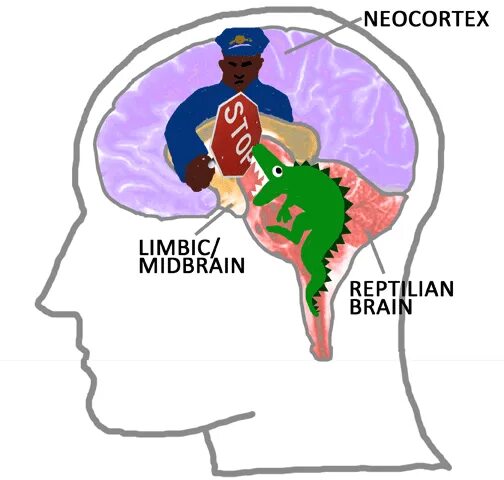 Рептильный неокортекс. Рептильный мозг лимбический мозг и неокортекс. Могг ребтильный Нео Кортекс. Древний мозг человека. Рептильный мозг неокортекс