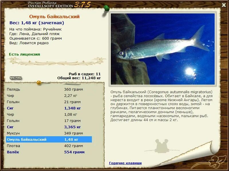 реальная рыбалка чир