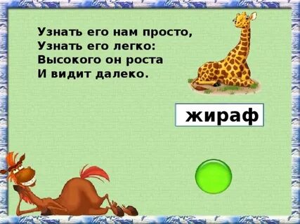 Жираф загадка 1 класс