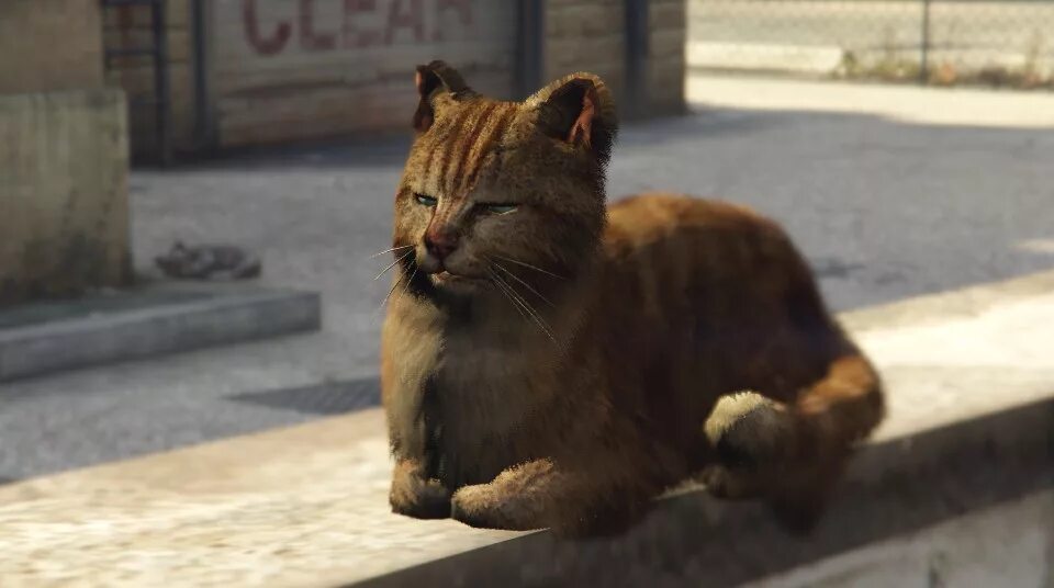гта сан андреас жители города. котик самп. Gta кот. гта 5 животные. Gta кот.