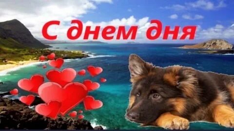 День днч