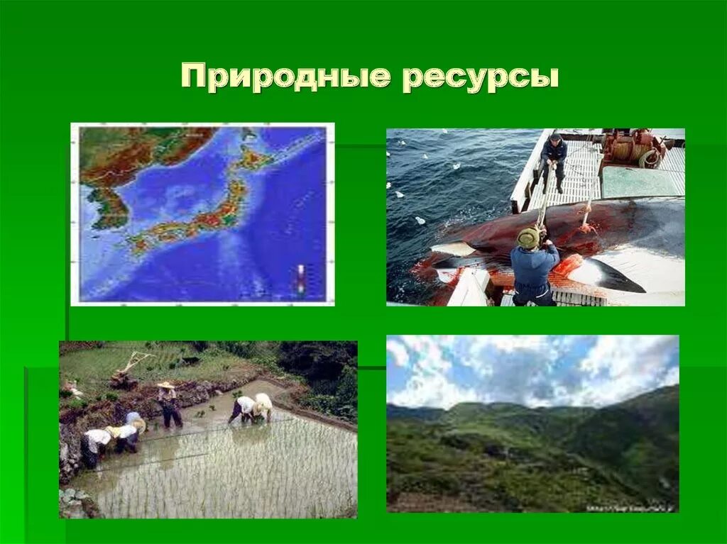 Природный потенциал японии. Природные ресурсы. Природные ресурсы картинки. Природные ресурсы Японии.