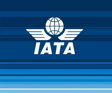 Международная организация воздушного транспорта
