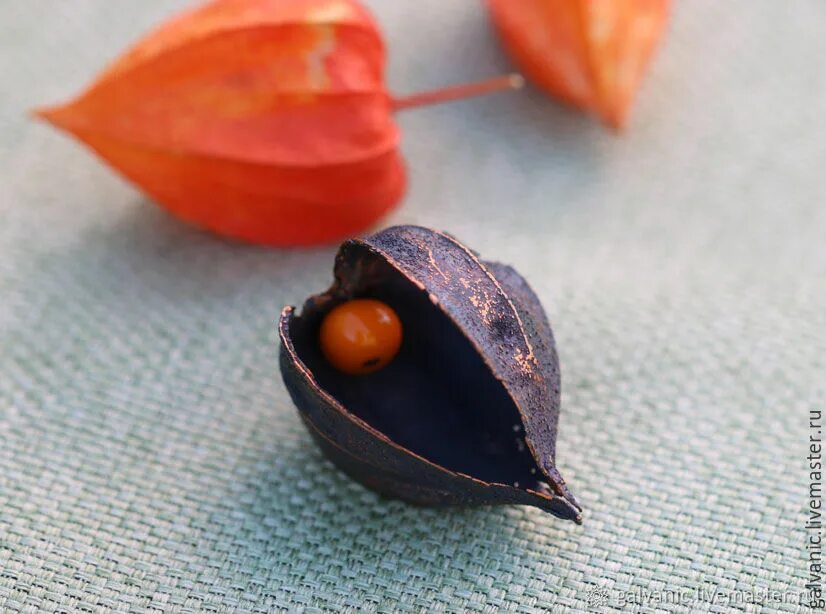 Скелетирование физалиса. Физалисы и бессмертники. Физалис коробочка. Физалис макрофото. Физалис земляничный.