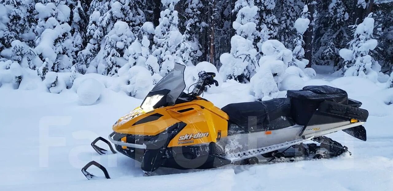 Брп снегоходы брп 550 купить. Ski Doo Tundra 550f. BRP Tundra 550 lt. Снегоход Tundra lt 550f. Снегоход BRP 550 тундра.