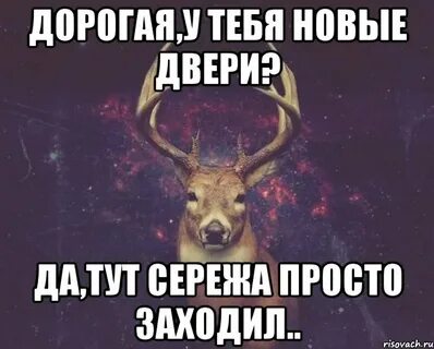 Сережа дурак