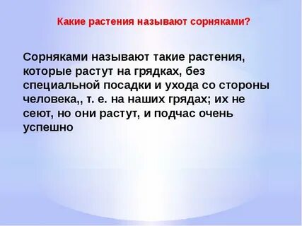 Сорная близкое по значению слово