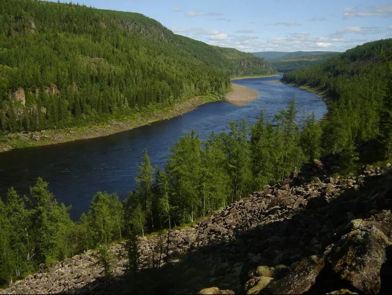 Река Тунгуска Красноярский край. Река Подкаменная Тунгуска Красноярский край. Нижняя Тунгуска река. Тайга река Енисей.