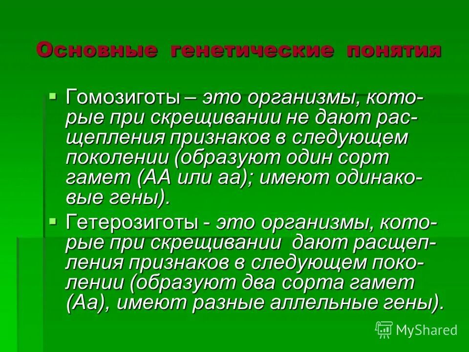 Чистая линия гомозиготный организм. Гомозигота. Гомозигота и гетерозигота определение. Термин гомозигота. Понятия генетики гомозигота.