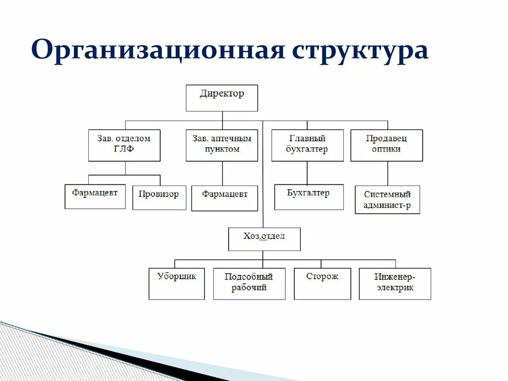 Схема организационной структуры управления. Пример организационной структуры предприятия ООО схема. Организационная структура предприятия аптеки. Схема организационной структуры подразделения.