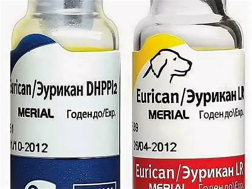 Вакцина эурикан dhppi2-lr. Эурикан ветклиника москва. Эурикан для кошек. Эурикан lr для собак. Эурикан для собак.