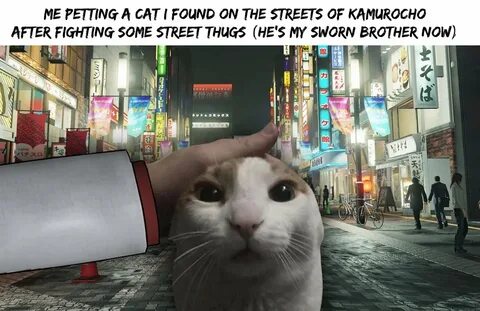 Petting my cat