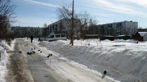 Алехина псков