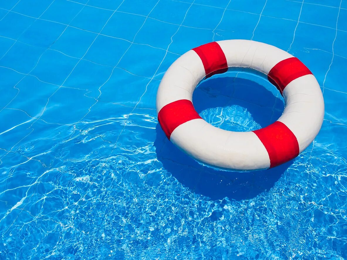 Собака со спасательным кругом. Человек в спасательном круге. Спасение на воде. Спасательный круг на воде. Девушка со спасательным кругом.