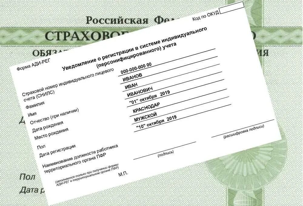 Как получить бумажный снилс на новорожденного ребенка. Новый снилс. снилс новый образец. снилс новый формат. снилс 2025 как выглядит.