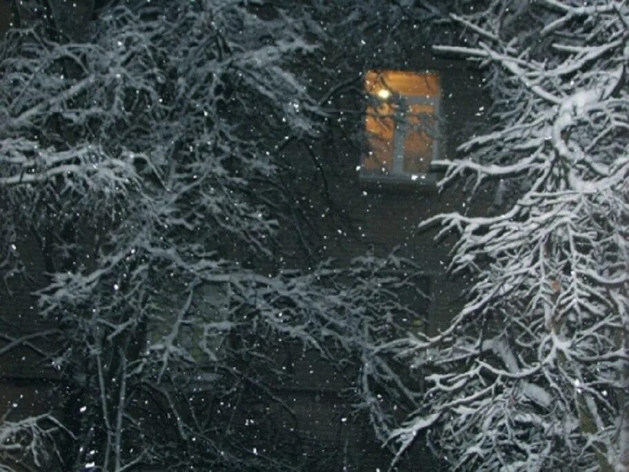 Вьюга на окнах. Морозное окно. Ночная метель за окном. Метель в окне.