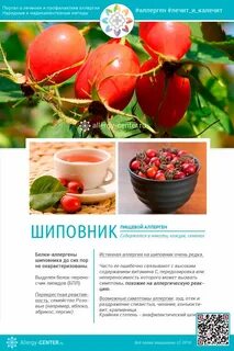 Аллергия на чай