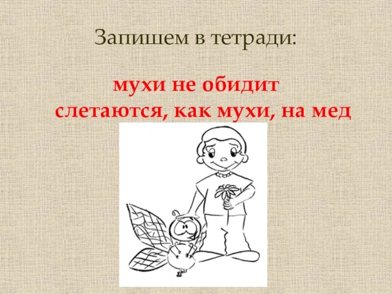 Белые мухи фразеологизм. Фразеологизмы с мухой. Фразеологизмы про муху. Мухи не обидит фразеологизм. Мухи не обидит значение